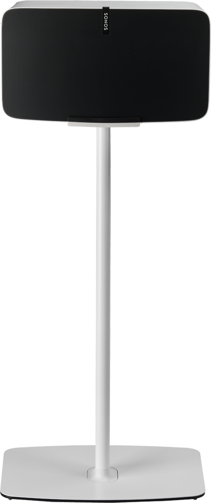 Enlarged image
