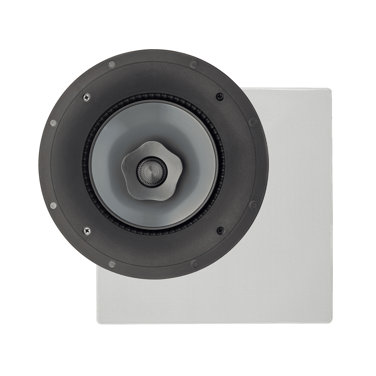 Paradigm CI Pro P80-R Mediacoms Direct