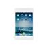 iPort Luxe Case for iPad Mini 4 (& 5*)